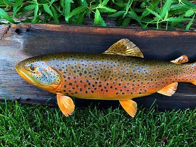 Brown Trout Replica - Project by Danny Cowan