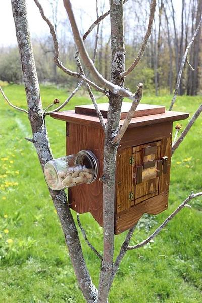 A Zany Squirrel Puzzle Feeder - Project by Kel Snake