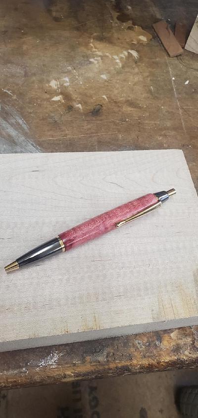 Abbie's second pen - Project by GR8HUNTER