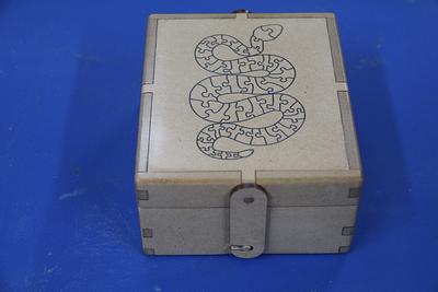Snake in a Box - Project by LIttleBlackDuck