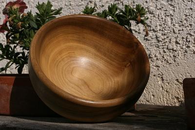 various bowls - Project by Pottz