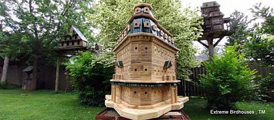 Extreme Birdhouses! - Project by John L