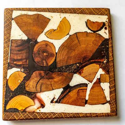 Coasters - Project by Gintaras