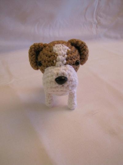 JACK RUSSELL TERRIER - Project by Sherily Toledo's Talents