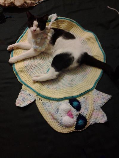 kitty bed/rug inspired by button blankie - Project by airam