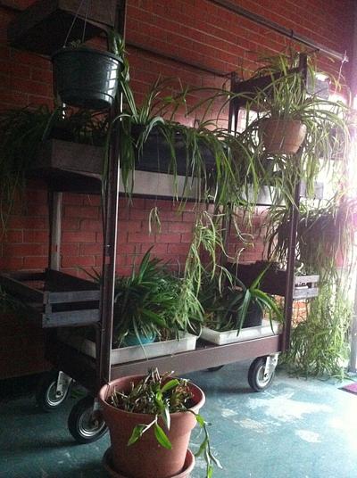 Mobile planter - Project by Jay
