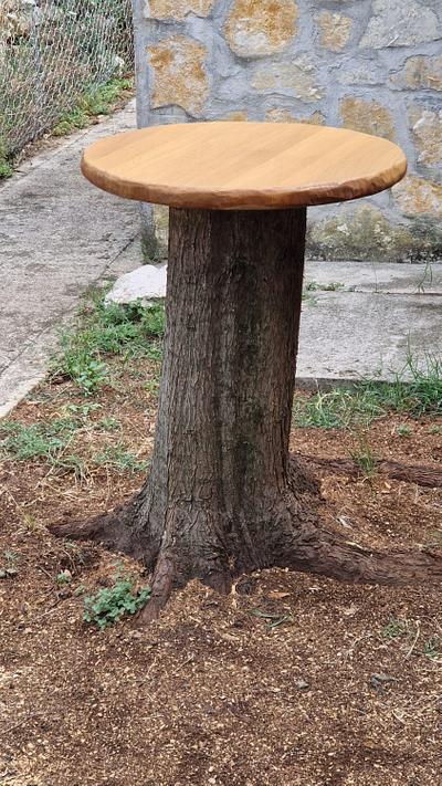 GARDEN TABLE TOP - Project by majuvla