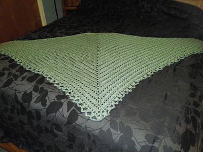 Plain Green Shawl - Project by Txoldlady56