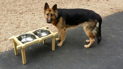Raised dog dish holders - Project by BB1