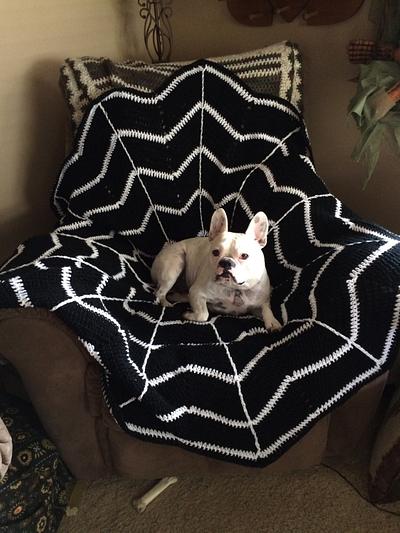 Spider web afghan - Project by Sharon