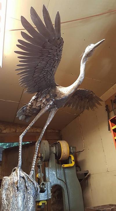Great Blue Heron - Project by WestCoast Arts