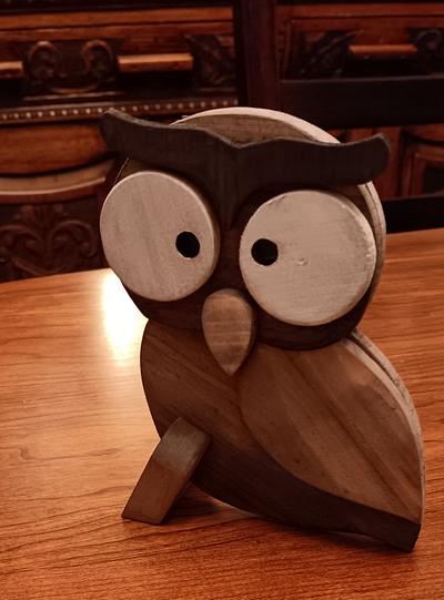 An Owl for my Grand daughter - Project by MrRick