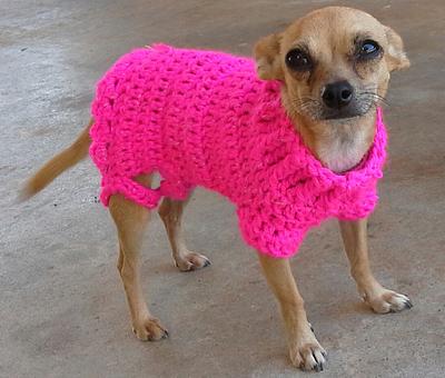 Sweetness - Crochet Dog Sweater - Project by michesbabybout