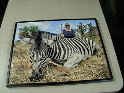 Frame to Cover  Damage - Project by Jim Jakosh