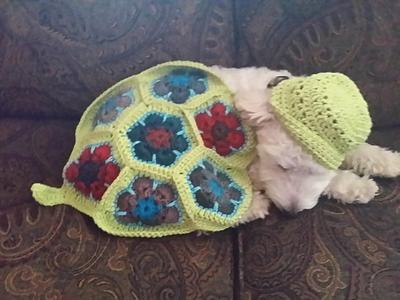 African flower turtle "Blanket" - Project by leslee