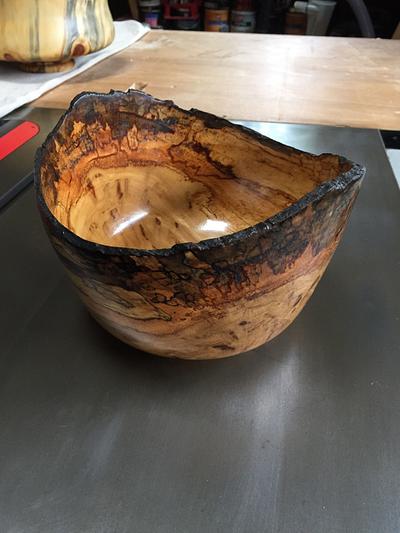 Eucalyptus Bowl - Project by BombayWoodWorks