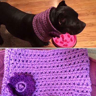 Custom dog cowl....a request from a friend - Project by Katrn