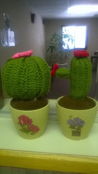 Cactus - Project by Tina
