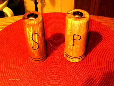 Salt and Pepper Shaker commision - Project by Rustic1