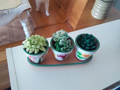 Succulents - Project by flamingfountain1