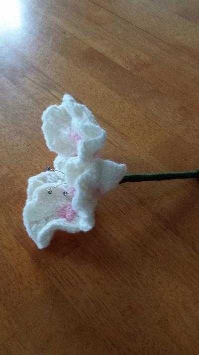 a pretty flower - Project by chasity