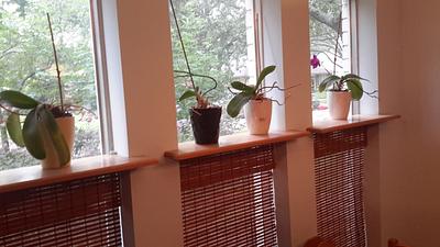 Orchid Shelves. - Project by Madts