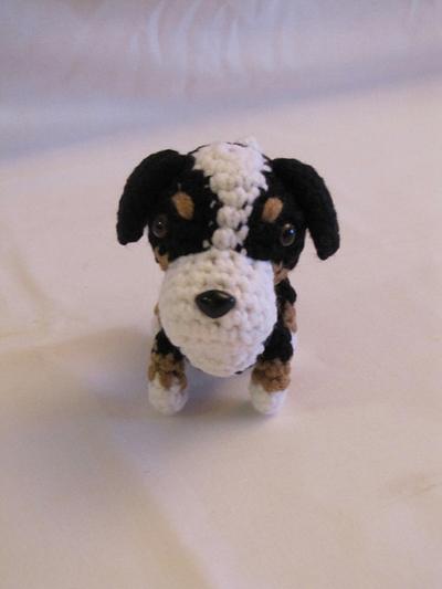 BERNESE MOUNTAIN DOG - Project by Sherily Toledo's Talents