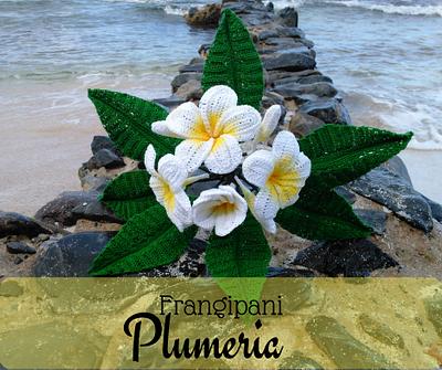 Frangipani Plumeria - Project by Flawless Crochet Flowers