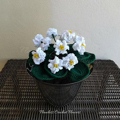 Ice Queen African Violet - Project by Flawless Crochet Flowers