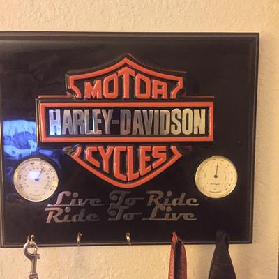 Harley key hanger - Project by Evan Pipolo