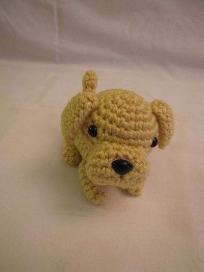 YELLOW LABRADOR RETRIEVER - Project by Sherily Toledo's Talents