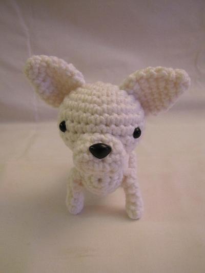 CHIHUAHUA - WHITE - Project by Sherily Toledo's Talents