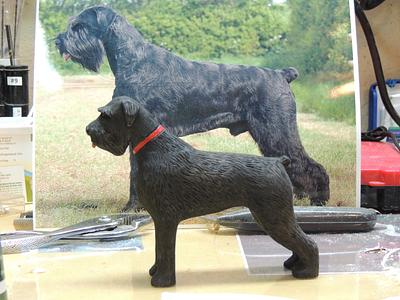 Giant Schnauzer Carving. - Project by Rolando Pupo