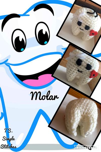 Molar - Project by Terri