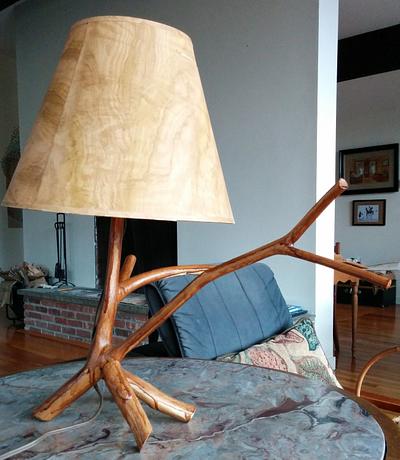 Desk lamp from birch branch. - Project by alexthewoodworker