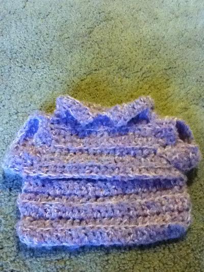 Bentridge Crafts  -A Doggie sweater for a darling doggie - Project by Jan