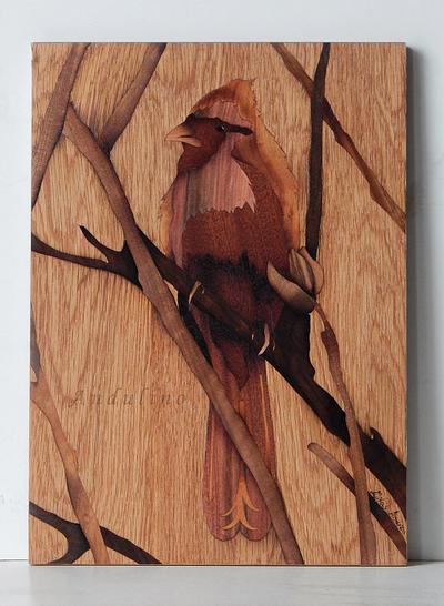 Cardinal bird marquetry - Project by Andulino