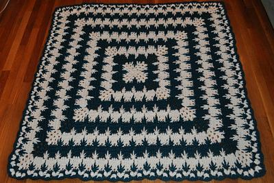 Spiked Cluster Afghan - Project by Transitoria