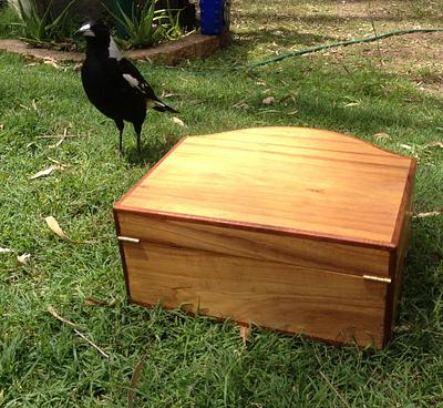 Curved Front Box, and Magpies! - Project by RobsCastle