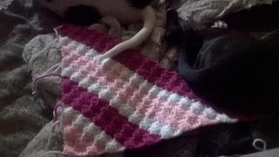 My Wip c2c - Project by Lauren Dayle