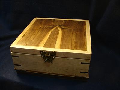 Murphy redesigned Butterfly Box - Project by Tom Tieffenbacher/aka DocSavage45