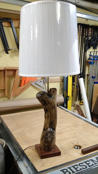 Driftwood table lamp - Project by Brian