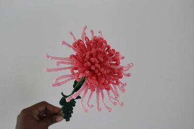 Spider Chrysanthemum  Bloom - Project by Flawless Crochet Flowers