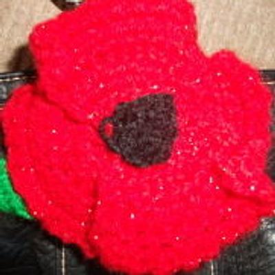 Poppy - Project by mobilecrafts