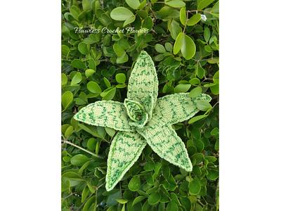Demi Aloe Succulent - Project by Flawless Crochet Flowers