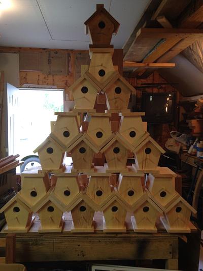 Bird houses - Project by David A Sylvester  