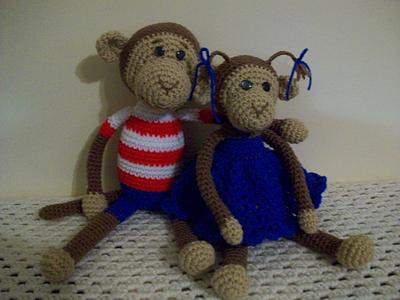 Monkey brother and sister - Project by Deena