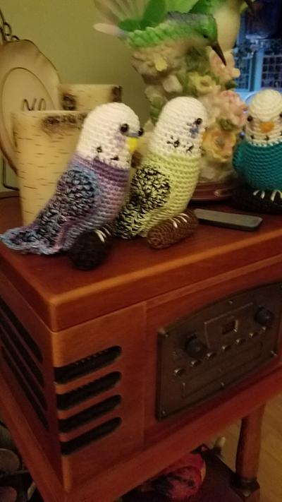 More budgies - Project by Charlotte Huffman