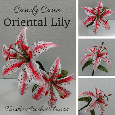 Candy Cane Oriental Lily Flower Pattern - Project by Flawless Crochet Flowers