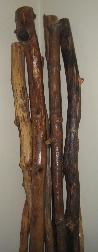 Hand made walk stick. can be use for home decor - Project by Harvey  Daniels